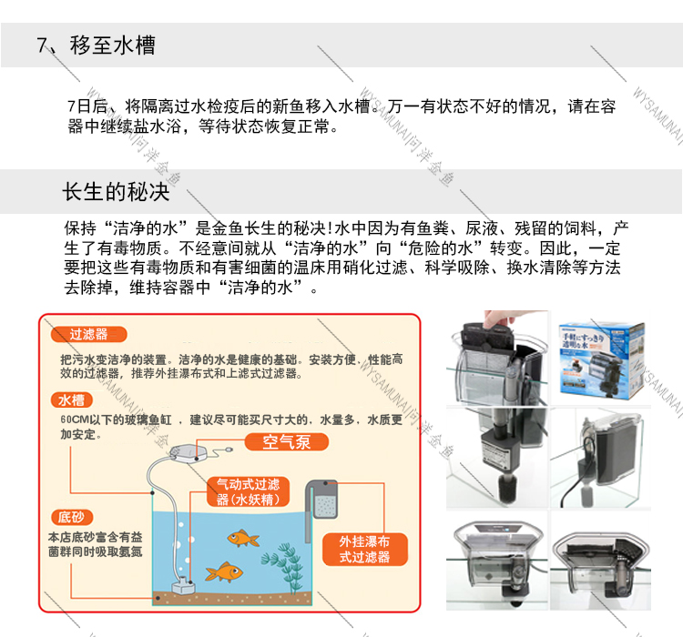 问洋金鱼详情页水泡_10.jpg