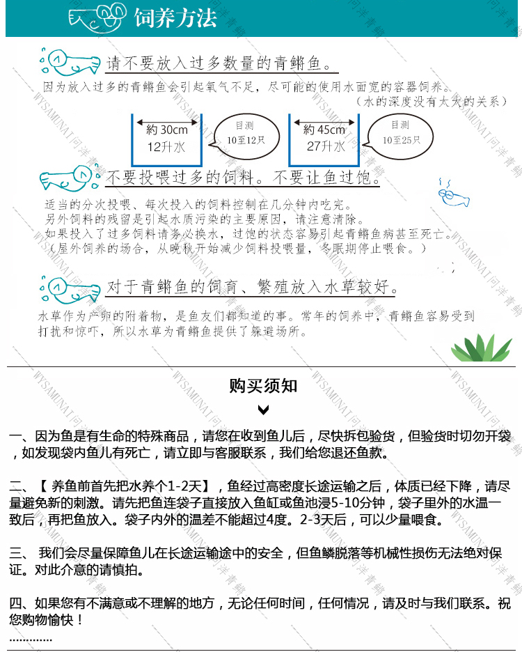 凤凰详情页2_13.jpg