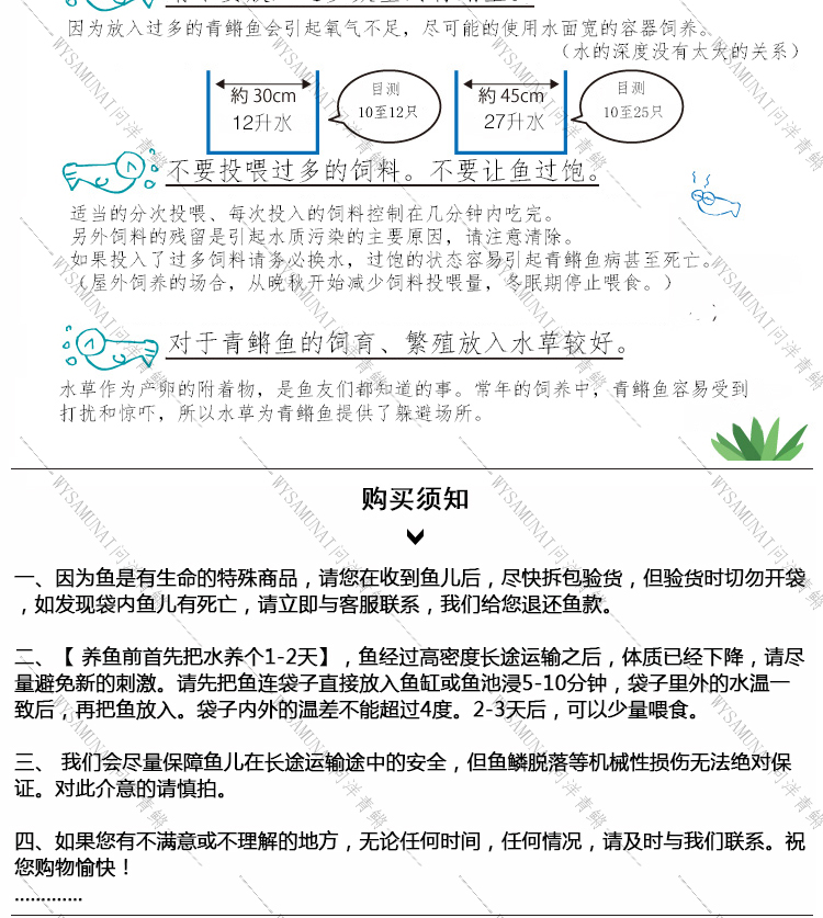 熊猫杨贵妃-1_12.jpg